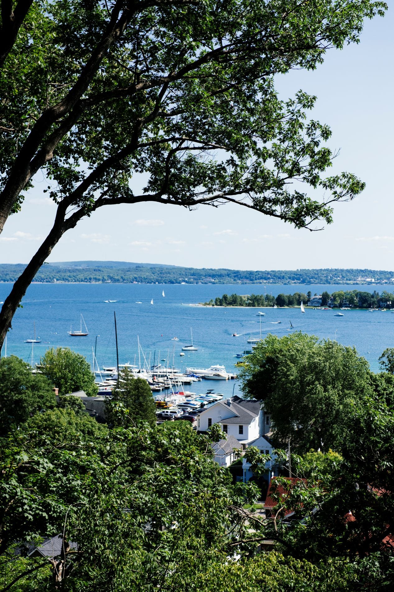 The Bestsellers Box American Spoon