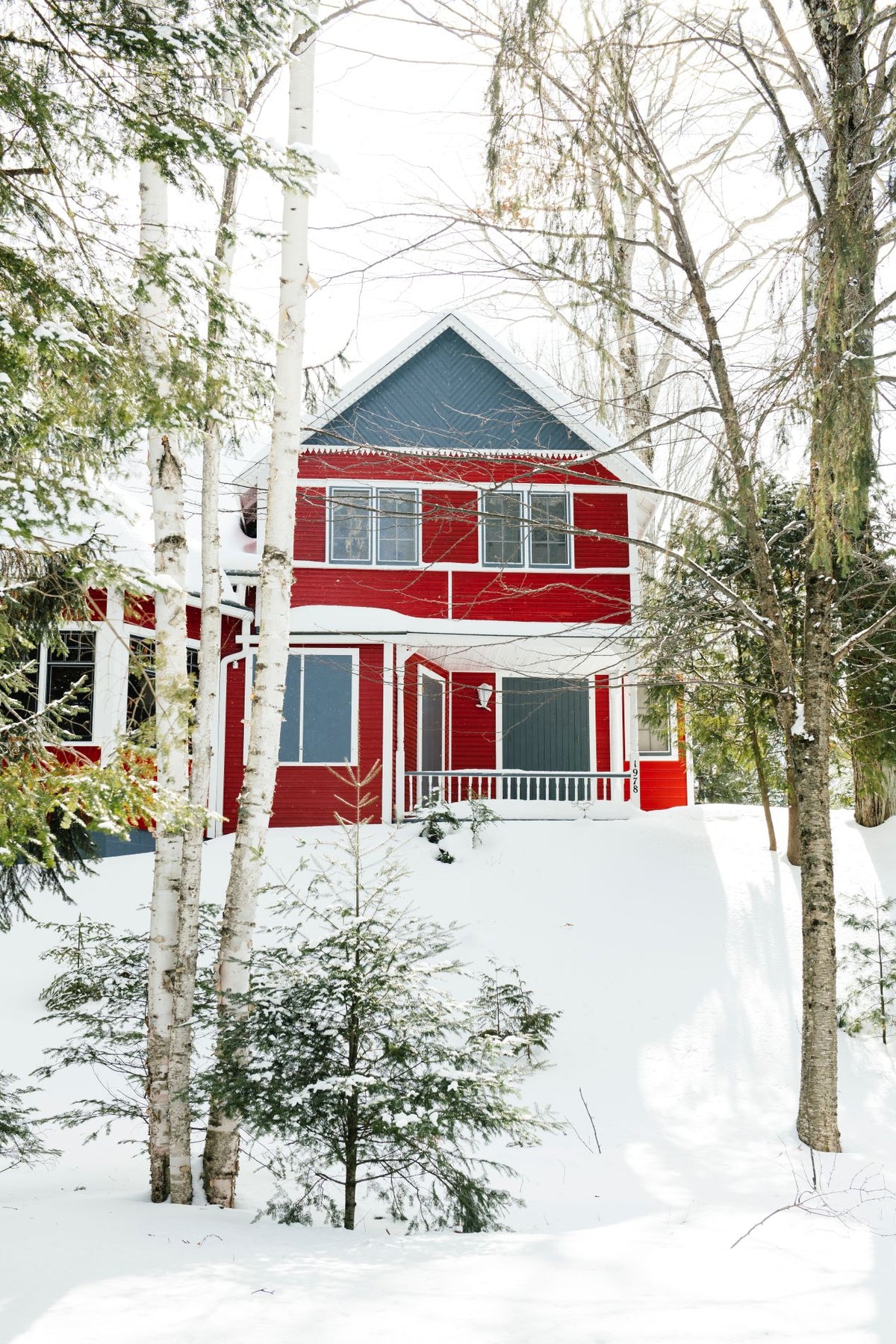 Red & Blue cottage in a snowy forest