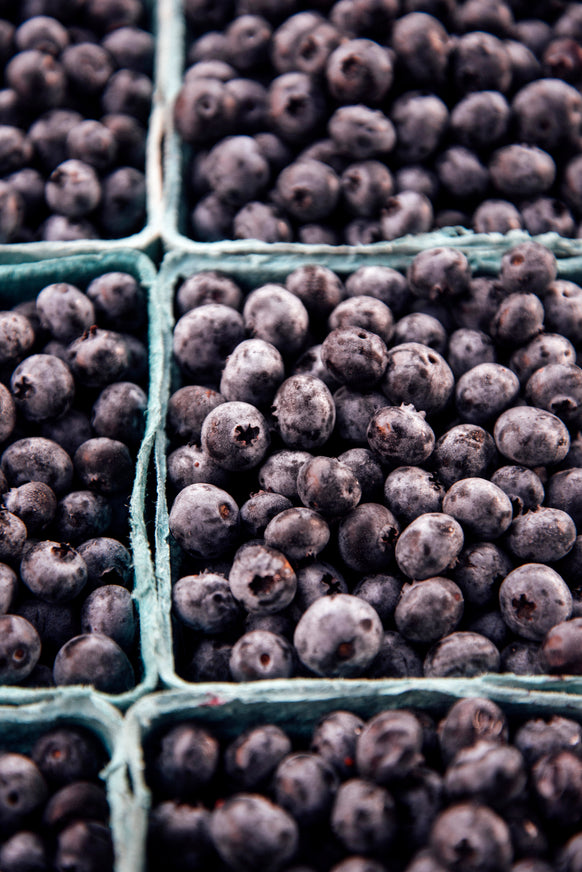 Farm market containers of fresh blueberries