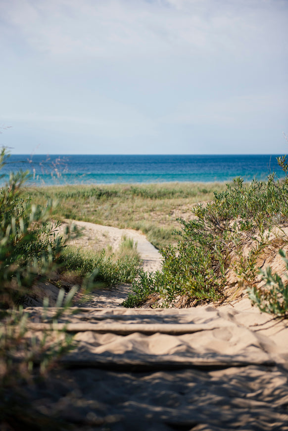 sandy dune path leading to lake michigan