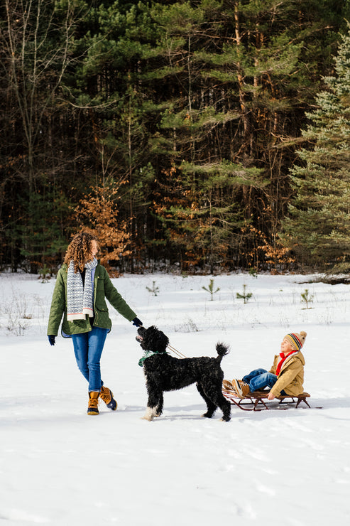 Load image into Gallery viewer, a mom pulling a little boy on a sled through the snow with a dog