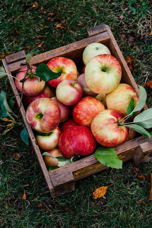 Load image into Gallery viewer, Spiced Cider Punch