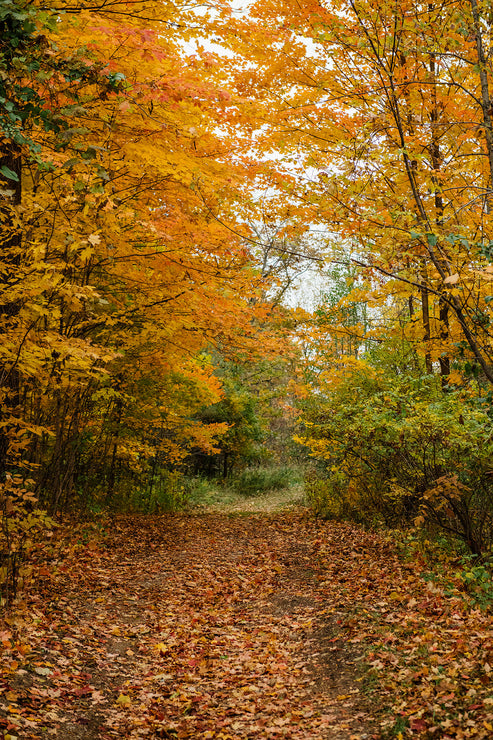 Load image into Gallery viewer, Whiskey Maple Syrup