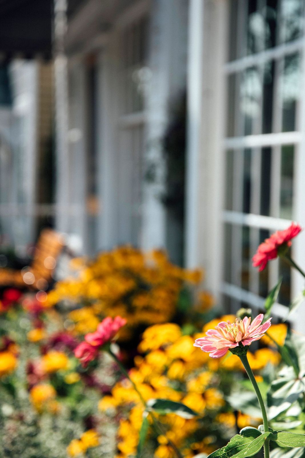 Buy the Store American Spoon