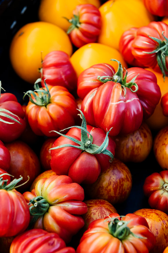 Heirloom tomatoes