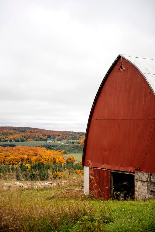 Load image into Gallery viewer, A field with a red barn in the fall