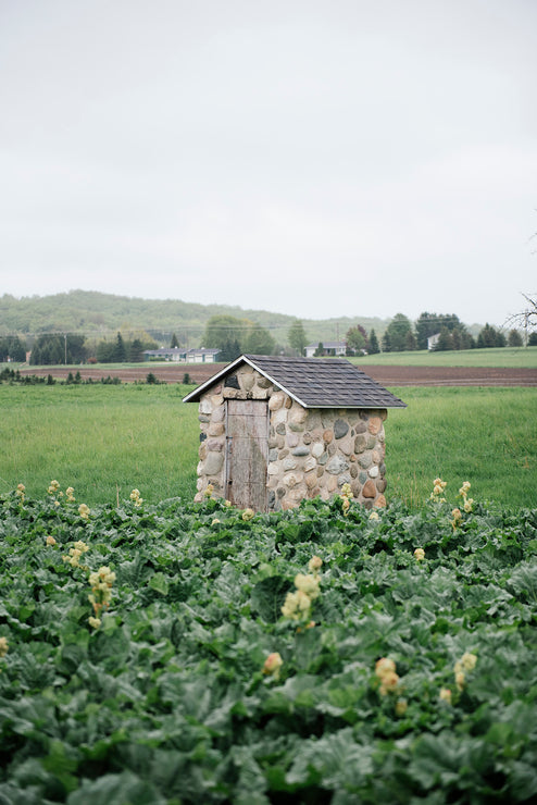 Load image into Gallery viewer, A stone shed in a field in Northern Michigan