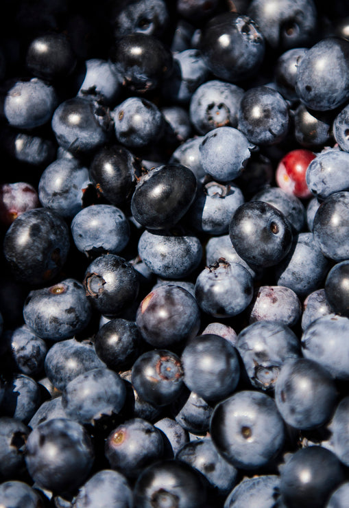 Load image into Gallery viewer, Freshly picked blueberries
