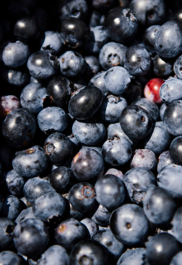 Freshly picked blueberries