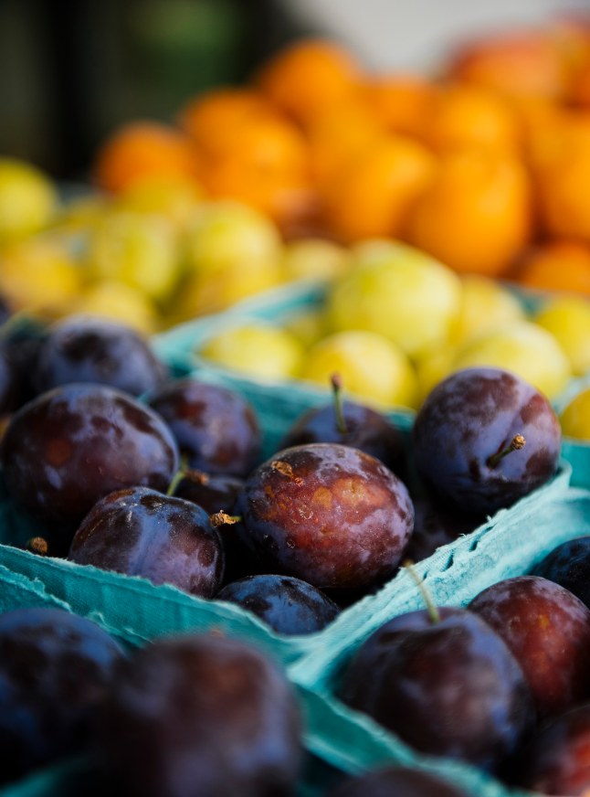Pints of ripe plums and apricots