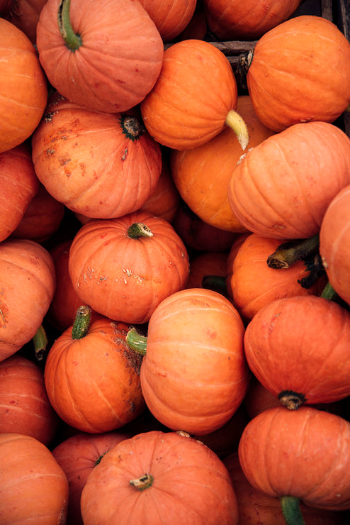 Load image into Gallery viewer, Piles of pumpkins
