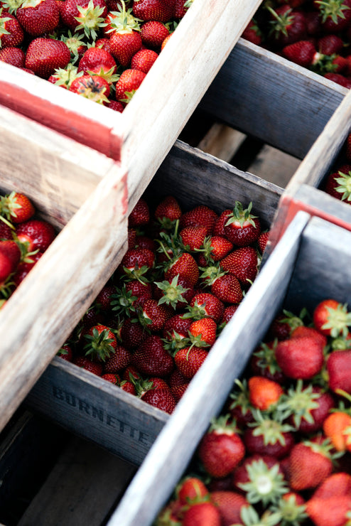 Load image into Gallery viewer, crates of freshly picked strawberries
