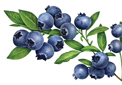banner-feature-image