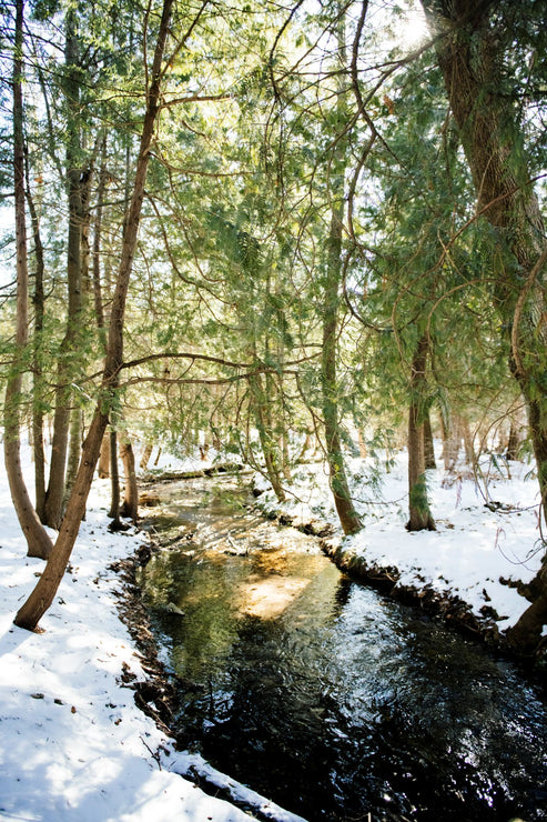 Load image into Gallery viewer, Up North Breakfast Box
