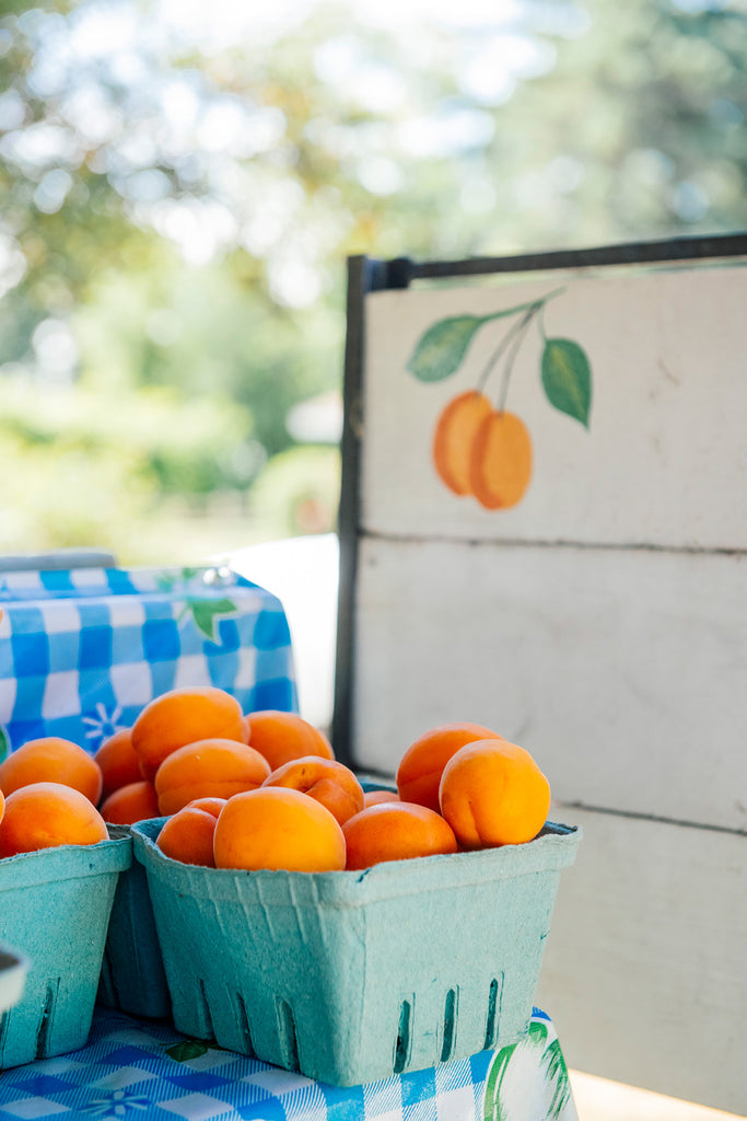 Leelanau Apricot Preserves