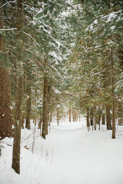 Load image into Gallery viewer, Hot Cocoa Mix Four-Pack

