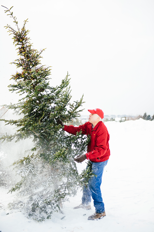 Load image into Gallery viewer, Bill McMaster of Bill&#39;s Farm Market shaking snow off of a Christmas tree
