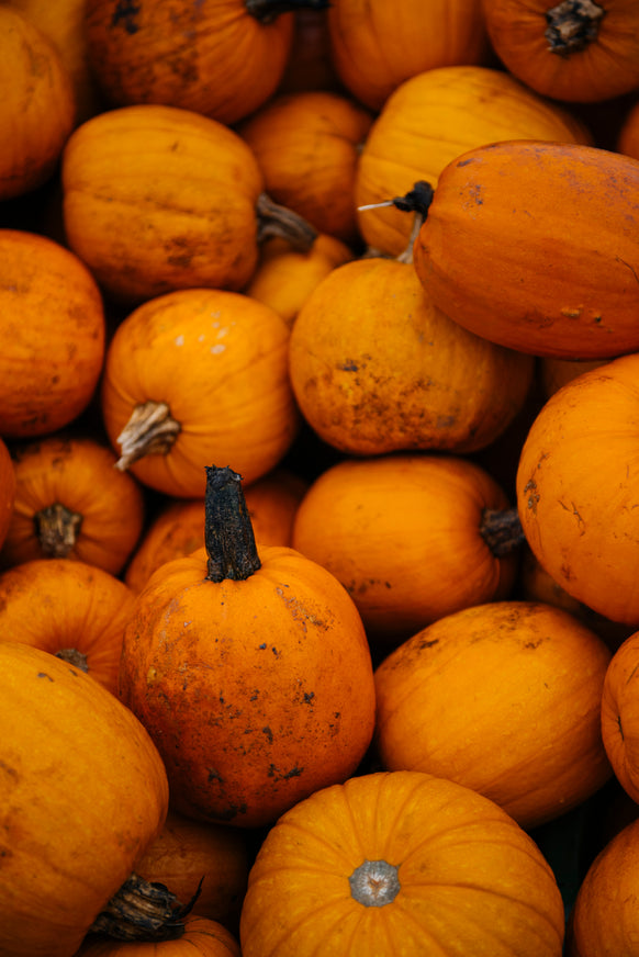 Piles of pumpkins