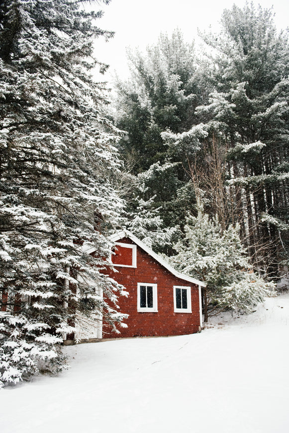 Red house and evergreen trees in the woods covered in snow