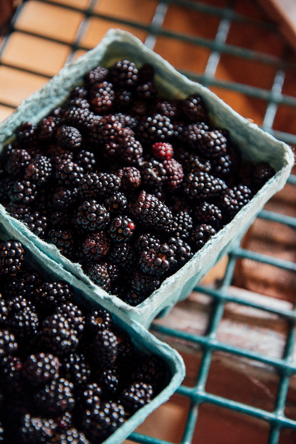Pints of fresh blackberries